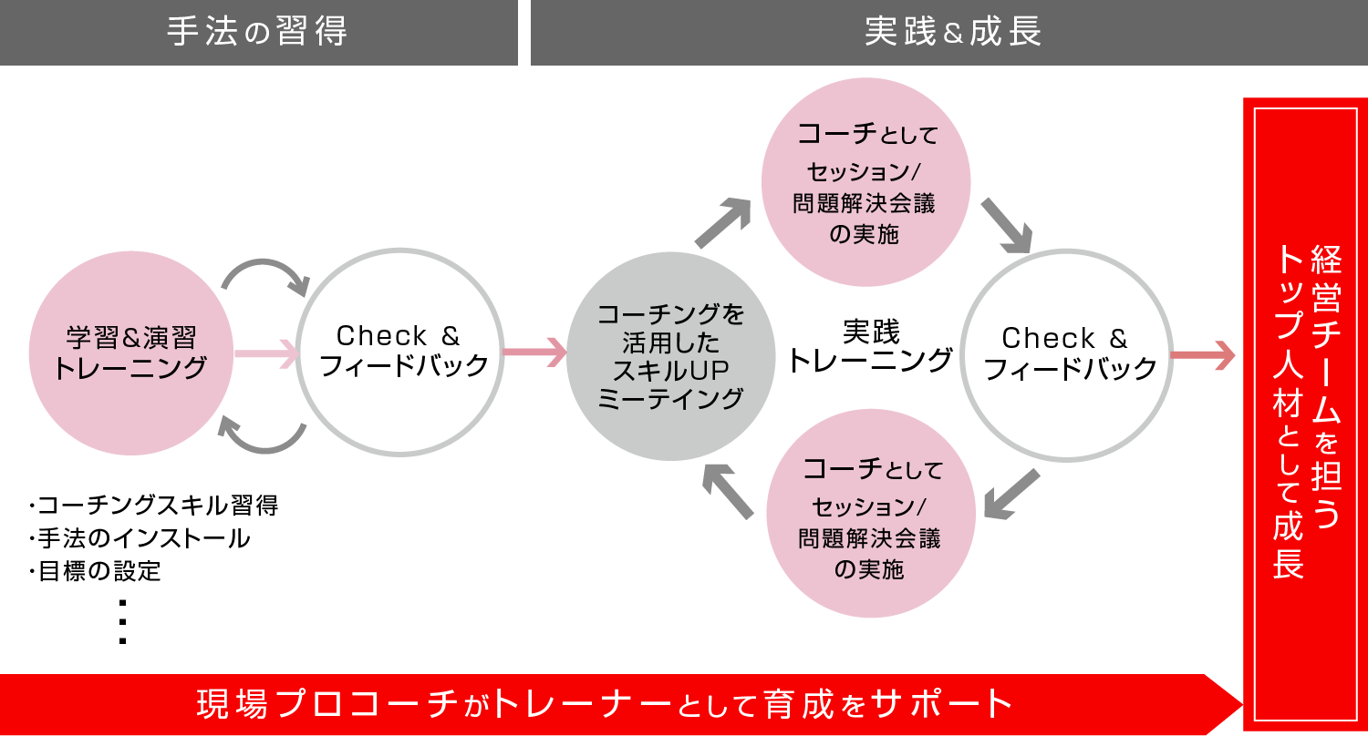 コーチの育成